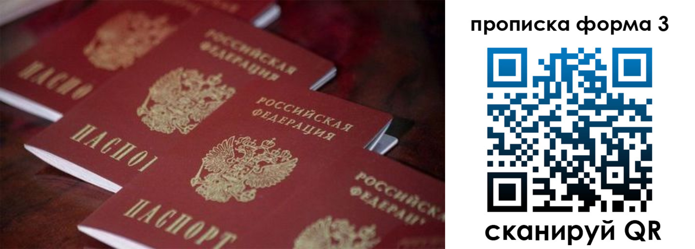 прописка паспорт в Химках